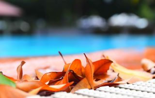 Pool Cleaning Company | Oldsmar | Triangle Pool Service