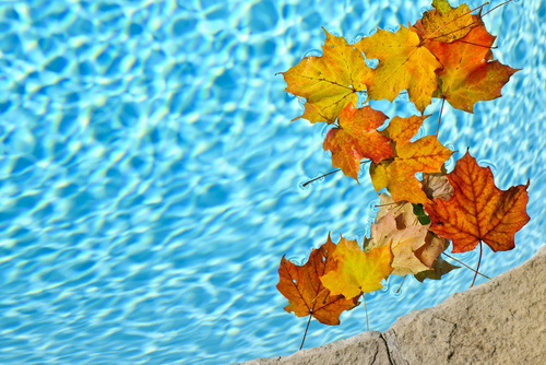 Pool Service | St. Petersburg | Triangle Pool Service